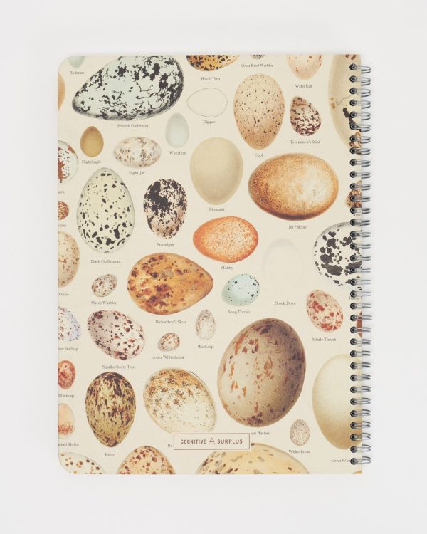 Bird Eggs Spiral Notebook - Lined on Sale - Image 2